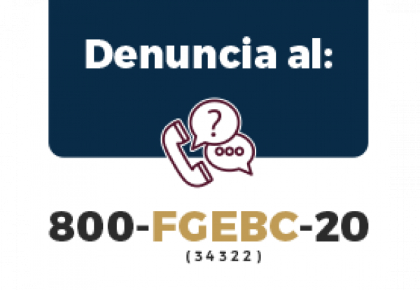 Denuncia FGE